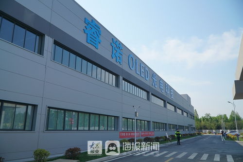 聚锂光医智，枣庄高新区绘就产业新蓝图